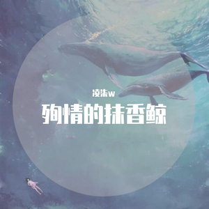 午夜福利在线电影
