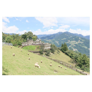 午夜福利在线电影
